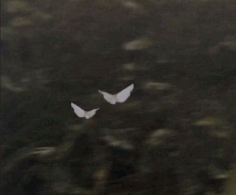 シナリオ作成、小説執筆承ります どんなものでも対応！ご希望のものを作成！ イメージ1