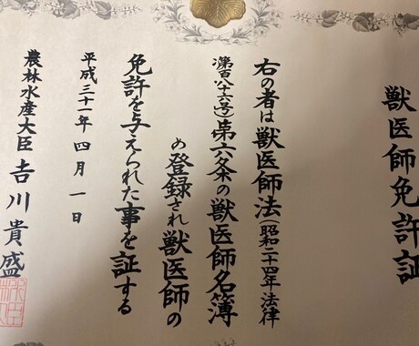 現役獣医師が愛犬・愛猫の健康相談＆不安解消します 人医学及び獣医学的知見から飼い主様の心に寄り添います。 イメージ2