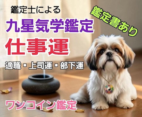 九星気学で仕事運の総合鑑定を行います 「今のままでいい？」あなたがより輝ける道を星でよみとります イメージ1