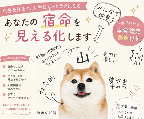 あなたの宿命を画像でわかりやすく提供します あなたの宿命を“見える化”します！一目でわかる宿命鑑定 イメージ1
