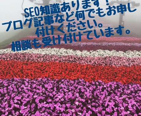 誰が読んでもわかりやすい文章書きます seoの知識あり。ブログ記事など何でもお申し付けください。 イメージ2