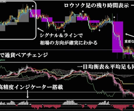 知らなきゃ大損 最速で バイナリー勝ち組になれます 10万円分の特典 バイナリーオプション インジケーター手法 イメージ2