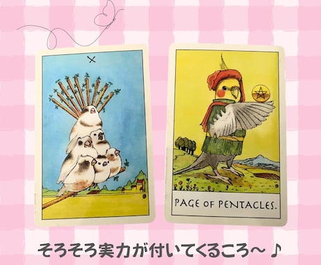 インコタロットであなたの現状とメッセージを伝えます あなたのモヤモヤ！必要なポイントを、ズバッとお届けします♬ イメージ2