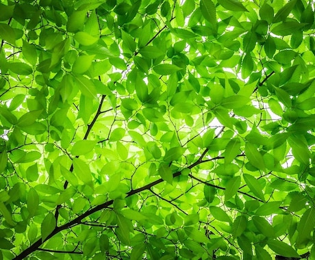 寄り添ってお話しをしていきたいと思いますます NLPを使ってお悩み事を解決したいと思います イメージ1