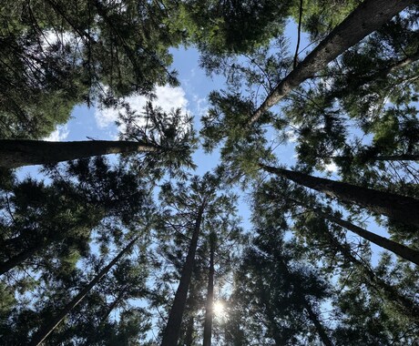 今日の夜 23〜 占えます 幼い頃からある霊視と直感力を生かしあなたに寄り添うスタイル イメージ1