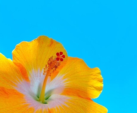 心・体・未来を透視◆今必要な答えをお届けします お仕事、人間関係、心身の不調など、あらゆるお悩みに対応。 イメージ1