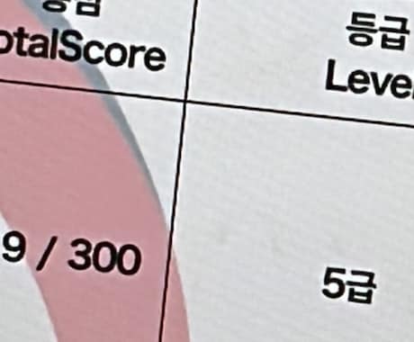 韓国語翻訳します イメージ1