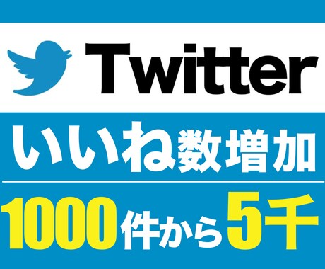 Twitterいいね+1000件から増加します 先着5名様限定 特別価格！ ※埋まり次第値上げします イメージ1