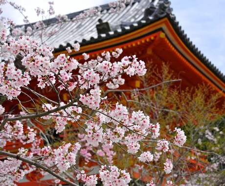 東京都内２３区内の神社お寺お参り代行します 地方や遠方、病気などでお参りが出来ない方にお参りを代行します イメージ1