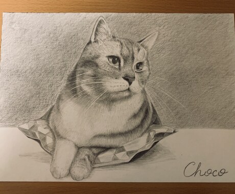 あなたの大切な人やペットを鉛筆画で描きます 【原品郵送OK】大切な人やペットをモノクロアート作品に イメージ2
