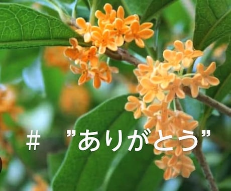 想ってくれてありがとう♡遺族経験者が寄り添います 遺族の無念さ♡心痛　後悔　心神喪失　孤独感　弱音愚痴何でも イメージ1