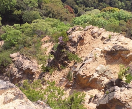 登山入門！ハイキングや日帰り登山の相談乗ります 登山、始めてみたいけど…まず何をすれば良いの？な方へ。 イメージ2