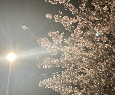 1時間　あなたの友達になります その日にあったこと何でもお話してください！ イメージ1