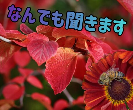 愚痴なんでも聞きます 日頃溜まったストレスを話す事で楽になりますよ イメージ1
