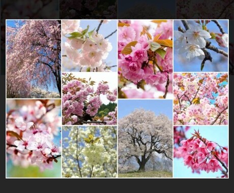 たわいもない話から仕事の愚痴まで何でも聞きます 無責任な感じで話しますが、人間観察が好きです イメージ1