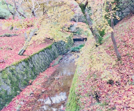 背景好きな人におすすめします 涼しくなってきて、そろそろ秋がちらついてきましたね。 イメージ2