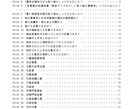 PDF「小規模事業者持続化補助金ガイド」販売します 飲食店や整体業など、起業家・創業者の方にオススメ イメージ2