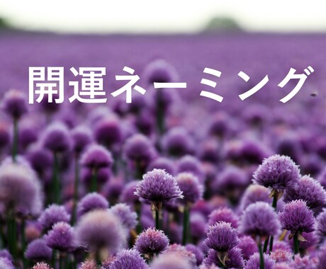 開運のビジネスネームを考案いたします 多方向からのヒアリングで起業・独立を応援します！ イメージ1