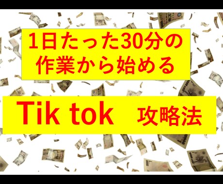 TikTokを攻略する方法を教えます 1日30分の作業から始めるマネタイズノウハウ イメージ1