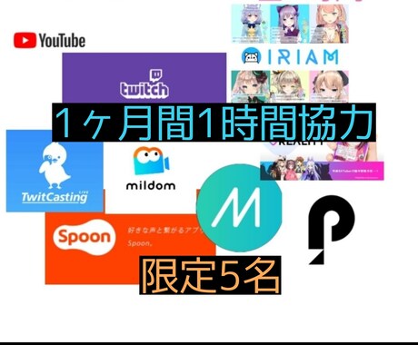 動画撮影配信で1ヶ月間スタッフとして協力します 動画投稿者様やライブ配信者様へのおすすめサービス内容です イメージ1