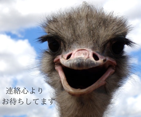 お仕事、職場での悩み、お話し何でもお聞きします なかなかまわりには相談しにくい方お待ちしてます イメージ2