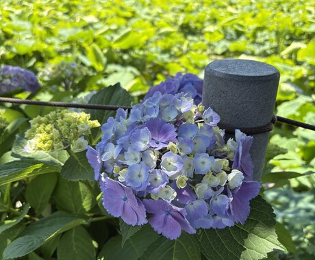 ふと誰かと話したくなったとき✨お話相手になります 心、体、人間関係…浮かんだことを自由にお話しくださいね✨ イメージ1