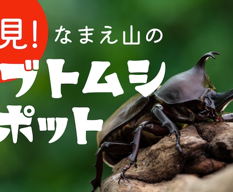 YouTubeのサムネイル作成します 再生回数が伸びないのには理由がある。 イメージ2