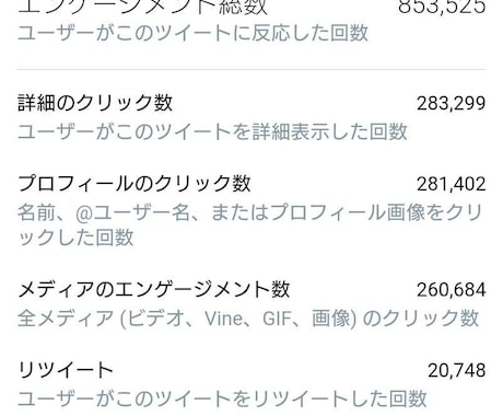日本人フォロワー200人以上増やします Twitter集客・日本人フォロワー増やし・拡散手伝います イメージ1