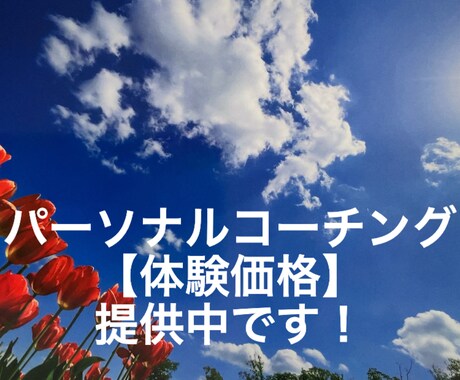 認知科学に基づくパーソナルコーチングを提供します あなたの”才能”と”本音のやりたいこと”を見つけます！！ イメージ1