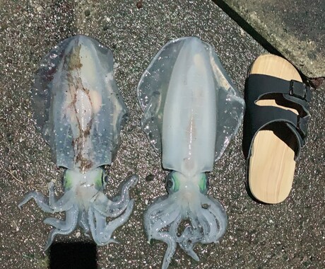 なんでもお話聞きます 悩み相談等お話しお聞きします。気にせずどうぞ。 イメージ1