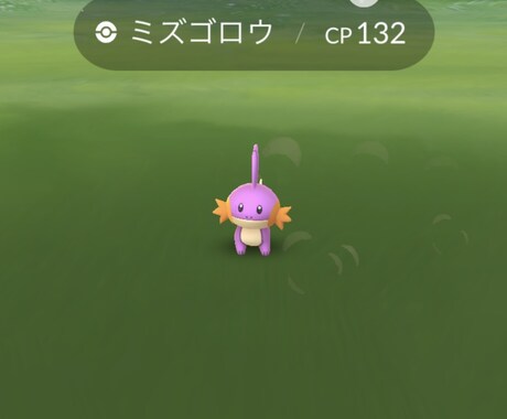 ポケモンGOの卵羽化、色違いタップ代行いたします イメージ1