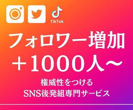 Instagramフォロワーを増やします 品質◎★インスタ+1000人~最大3万人 イメージ1