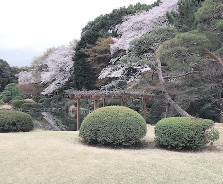 恋愛相談✩.*˚力になります 片思いから失恋、復縁まで✩.*˚一緒に考えましょう！ イメージ1