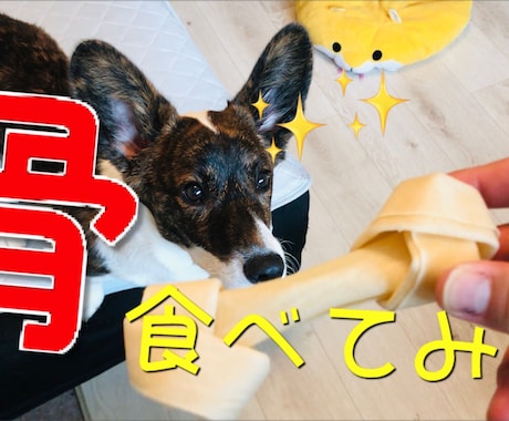 30分程の動画、ステキに編集します サムネイル作成、テロップ入れなど含め、素敵な作品を作ります！ イメージ2