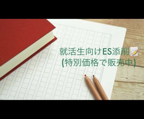 面接に活かせる！ES作成を全力サポートします 人事に気に入られるES作成→面接ノウハウまで伝授します！ イメージ1
