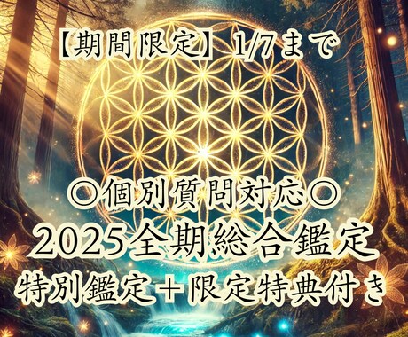 2025年全期総合鑑定《＋個別詳細鑑定》します 【期間限定】1/7まで特別鑑定＋限定特典付き イメージ1