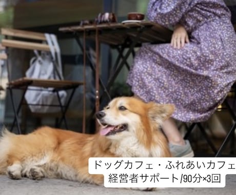 90分×3回犬カフェ経営者のお悩み解決します 犬の扱い方から犬と来客の関係性作りまで仕組み作りサポート！ イメージ1
