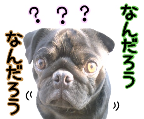ペットボイスクリエイター。ペットの声届けます 貴方のペットが、何を思っているのか？などを紐解きます イメージ2