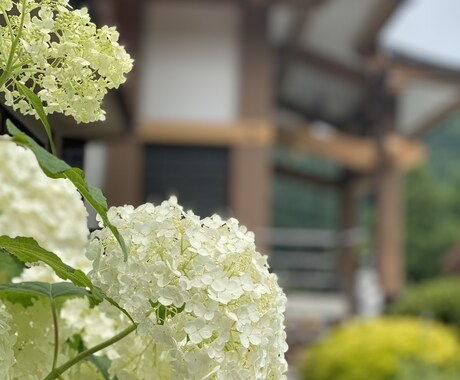 現役のお坊さんが話し相手になります 気軽にどうぞ！短時間でもOK！お坊さんと話しませんか？ イメージ1