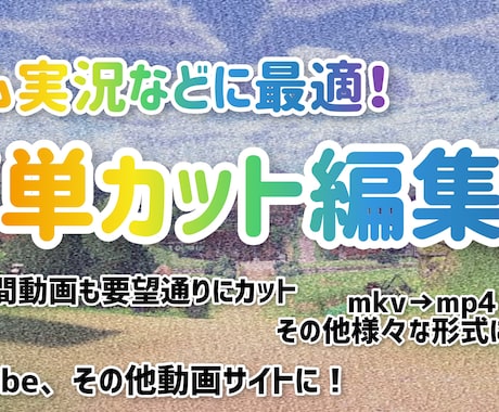 長時間動画も要望通りにカット編集します 様々形式に対応!長時間でも要望通りにカット編集! イメージ1