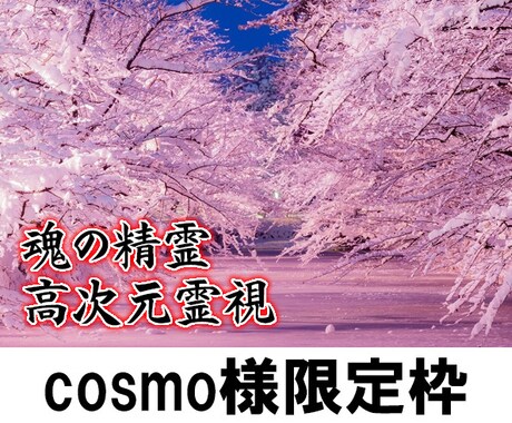 魂の精霊高次元霊視を実施します 魂の精霊を呼び出し高次元霊視を行います。 イメージ1