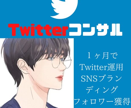 1ヶ月Twitterマーケティングサポートします SNSコンサル・Twitterコンサル・SNSコンサル イメージ1