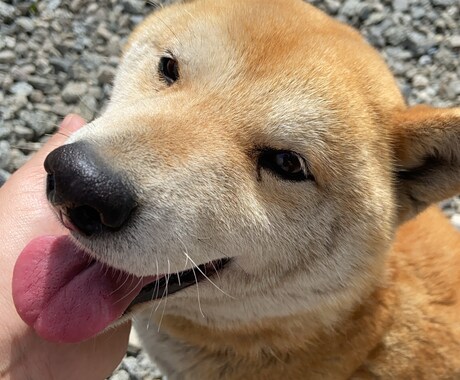 低い声でゆっくりと落ち着いた雰囲気で話します イメージ1