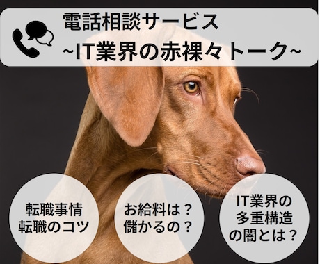 IT業界についてなんでも答えます 「IT業界に関する質問になんでも回答！」 イメージ1