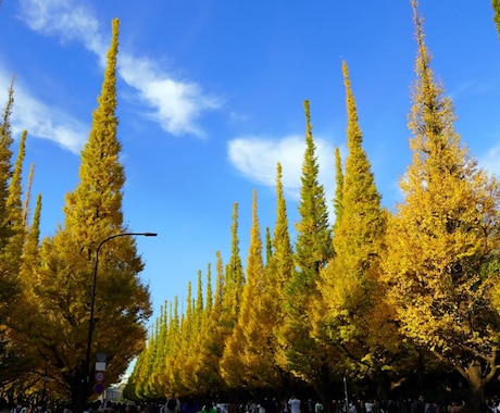 国家資格キャリアコンサルタント面接対策します 2回目で（74点で合格！16点UP）合格。その秘訣をお伝え！ イメージ1