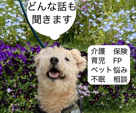 不眠症、介護、ペットロス、育児、鬱など相談のります 子育て・介護・家計・心の悩みに寄り添う暮らしの相談窓口 イメージ1