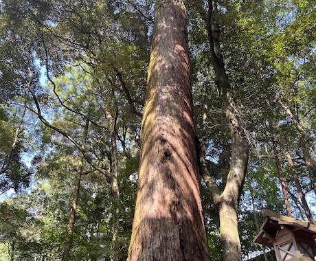 霊視鑑定１５分＋お相手様に念贈りいたします 気になるお相手様に念をお贈りいたします イメージ1