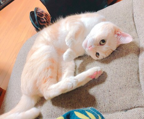子育て、ADHDについて相談乗ります 自分の子はほかのと違う、悩んでるあなたへ イメージ1