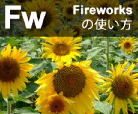 FIREWORKSの使い方でつまずいている方！お手伝いします。 イメージ1