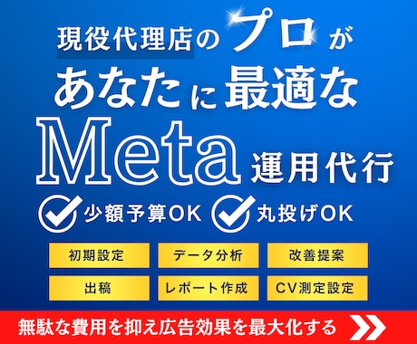 Meta広告(インスタ)運用代行１ヶ月から行います 初期設定から運用まで完全サポート致します！ イメージ1
